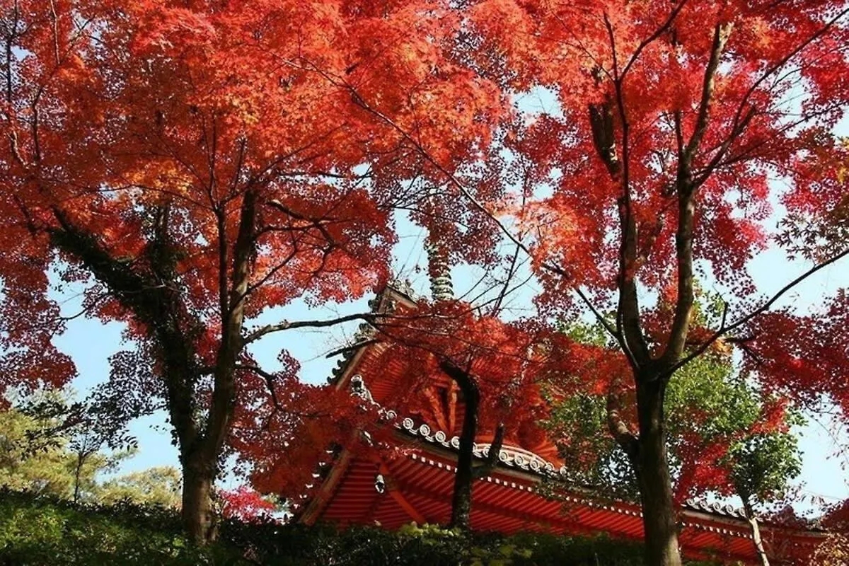 Apartment Ishiki - Best Location 2 Min Hiroshimjr Station, Up To 10 Ppl Hiroshima